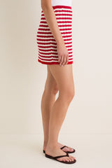 Avenue Stripe Knit Emery Mini Skirt