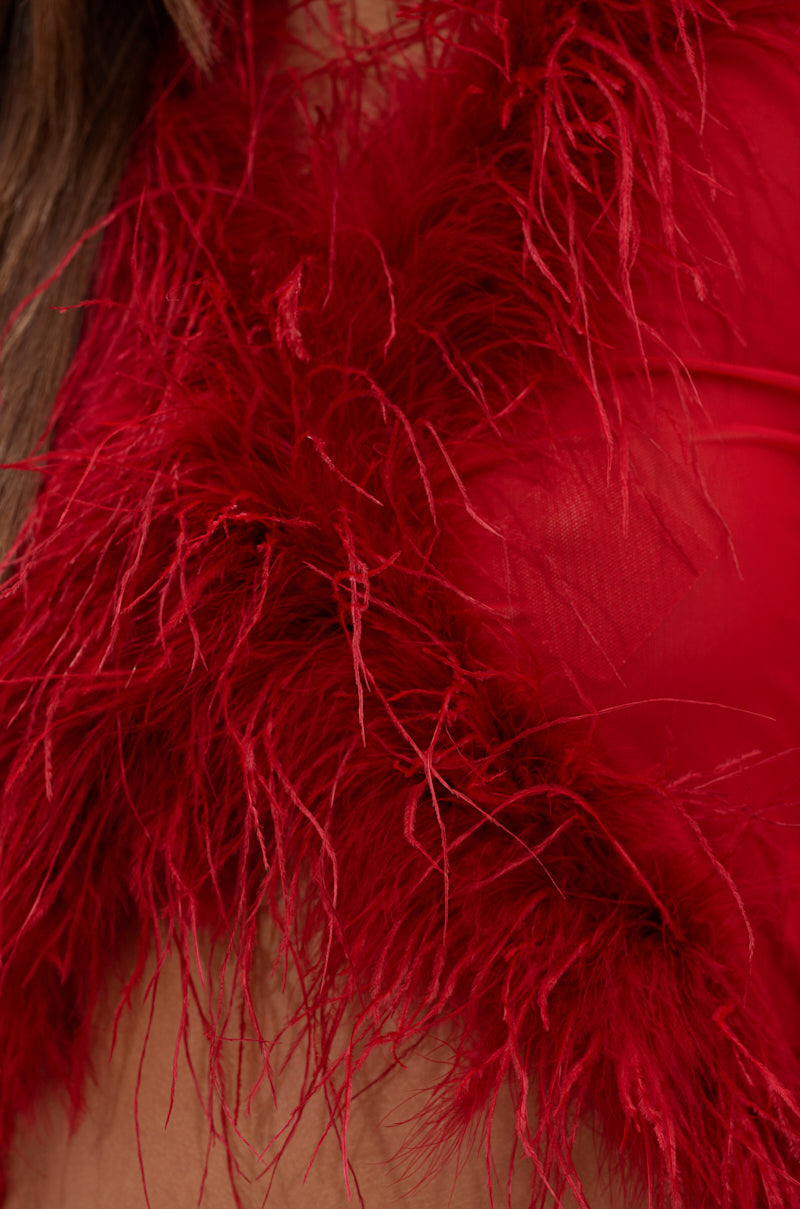 FIERCE FEATHER BLOUSE
