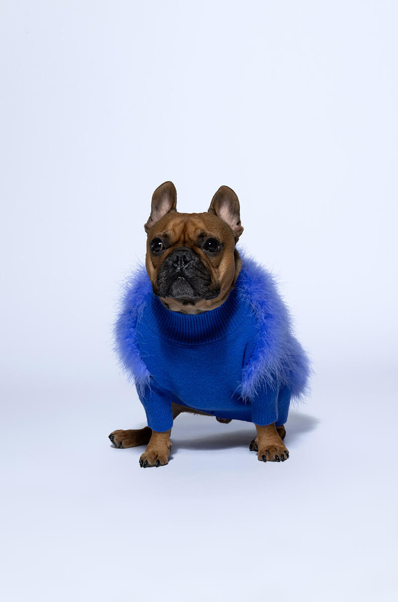 QUINN FEATHER DOGGY SWEATER