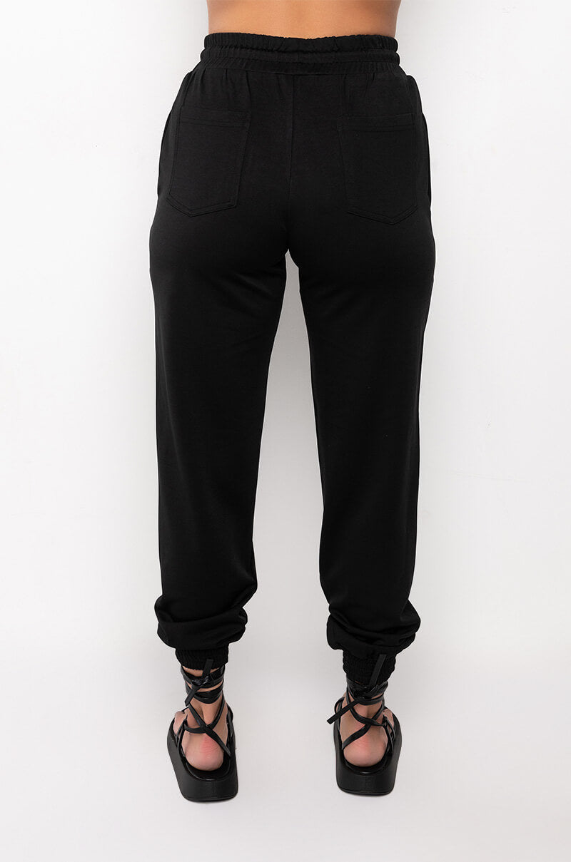 ARLO SKINNY JOGGER PANT